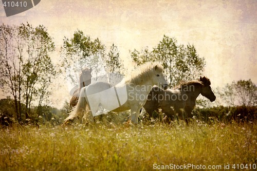 Image of Postcard from Denmark (Series)