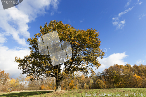 Image of Nature in autumn season