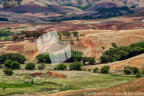 Image of Traditional Madagascar hill landscape