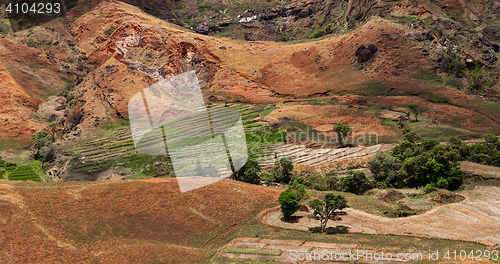 Image of Malagasy farm with terraced fields