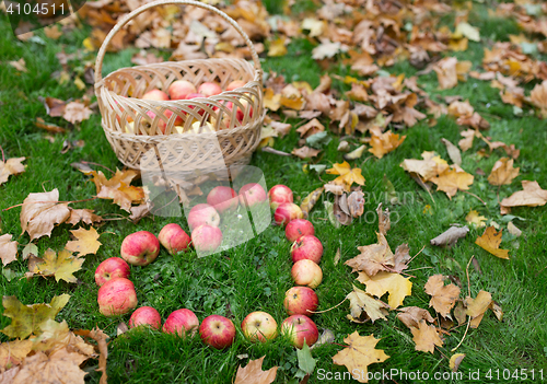 Image of apples in heart shape and autumn leaves on grass