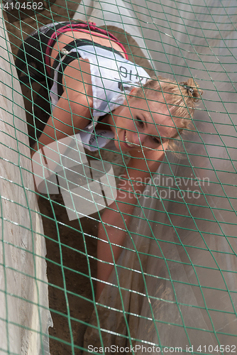 Image of Girl creeps on an entrenchment with sand and water