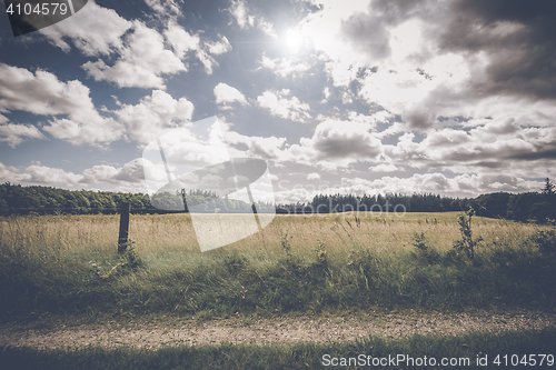 Image of Roadside fence by a countryside meadow