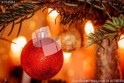Image of Red Xmas ball on a Christmas tree
