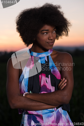 Image of portrait of a young African-American woman in a summer dress