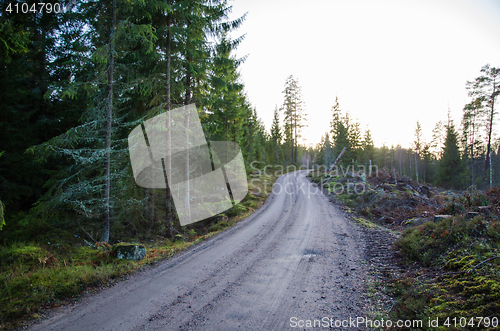 Image of Winding gravel road through the woods