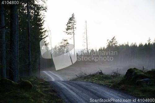 Image of Gravel road by a misty evening