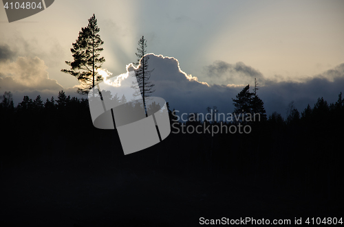 Image of Dramatic forest and clouds silhouettes