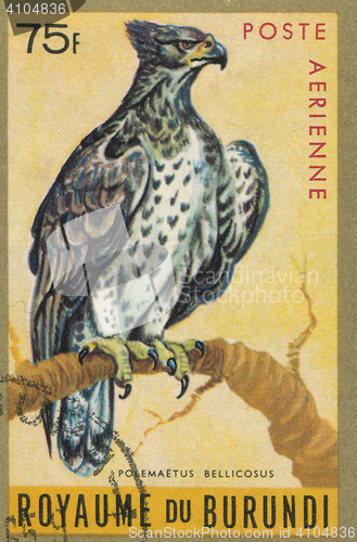 Image of BURUNDI - CIRCA 1970: stamp printed by Burundi, showing Martial Eagle (Polemaetus bellicosus), circa 1970