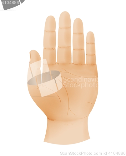 Image of human hand shows five fingers and empty palm