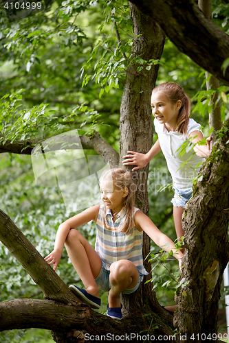 Image of two happy girls climbing up tree in summer park