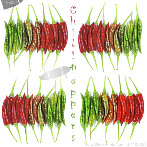 Image of Collection of Chili Peppers