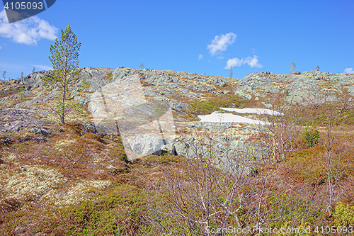 Image of Mountain tundra in Lapland