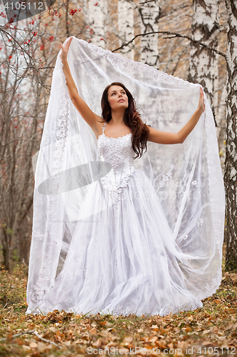 Image of Young Bride In A Forest