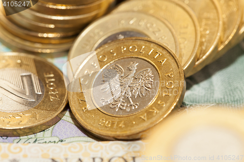 Image of Polish Zloty, close-up