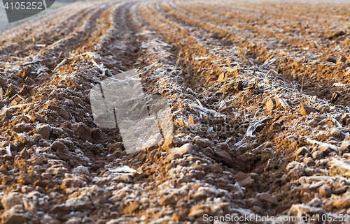 Image of plowed land, frost