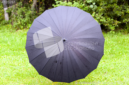 Image of black umbrella with drops