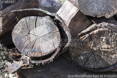 Image of old rotting logs