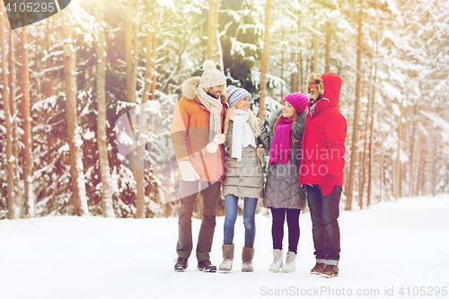 Image of group of smiling men and women in winter forest