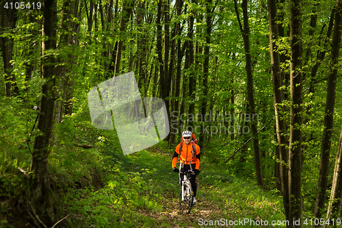 Image of Cyclist Riding the Bike on a Trail in Summer Forest