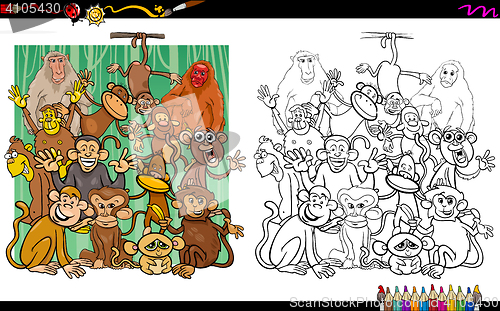 Image of monkey characters coloring book
