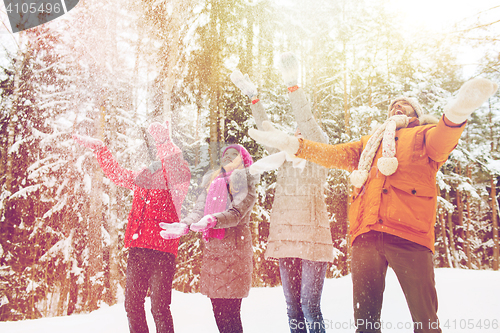 Image of group of smiling men and women in winter forest