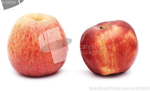 Image of apples over white