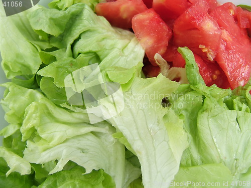 Image of Salad background