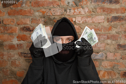 Image of Cracker standing near brick wall