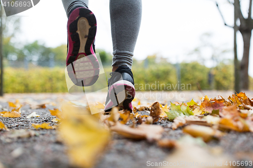 Image of close up of young woman running in autumn park