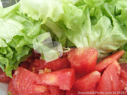 Image of Salad background