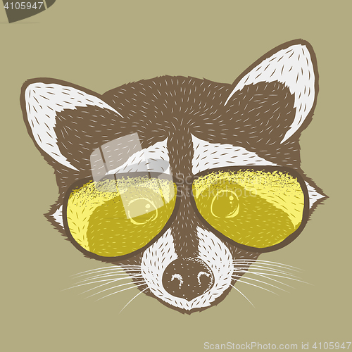 Image of Raccoon vector illustration