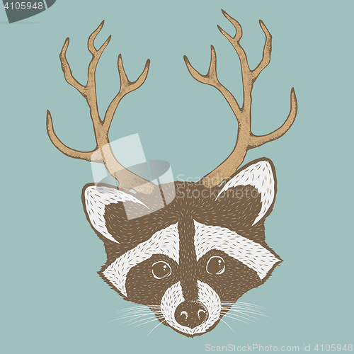 Image of Raccoon vector illustration