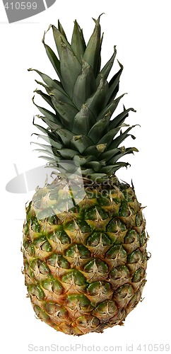 Image of Pineapple