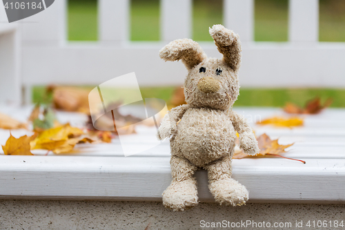 Image of toy rabbit on bench in autumn park