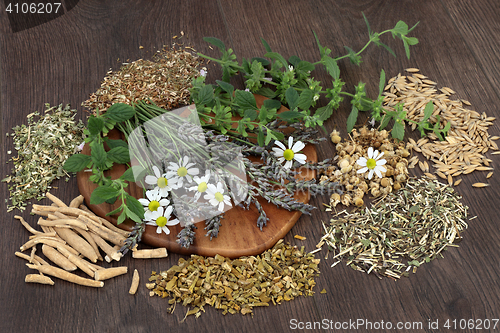 Image of Herbs for Anxiety and Sleeping Disorders