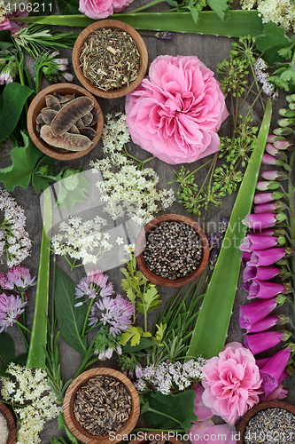 Image of Herbal Medicine Selection