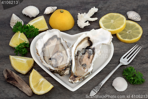 Image of Delicious Fresh Oysters