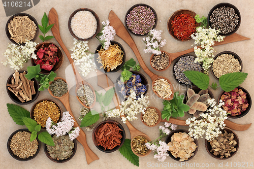 Image of Herbal Medicine Selection