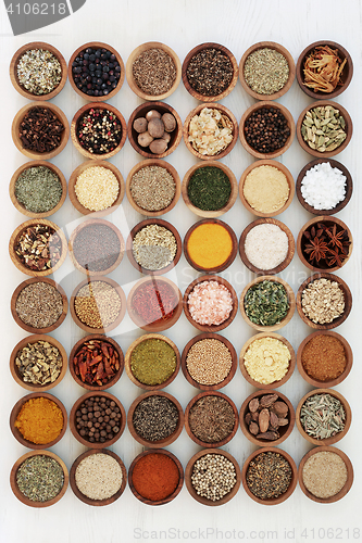 Image of Dried Herb and Spice Collection