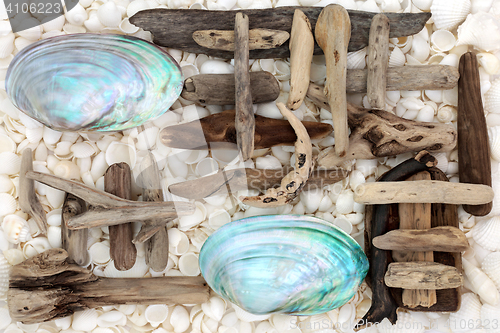 Image of Seashell and Driftwood Abstract