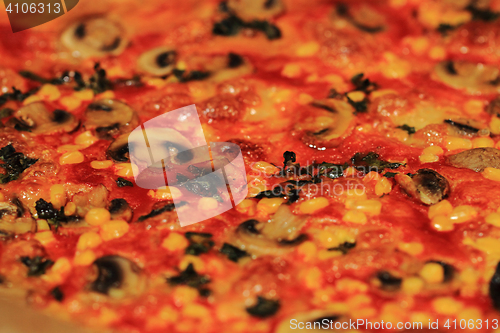 Image of fresh champignon pizza background