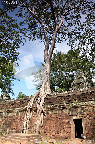 Image of Ta Prohm Temple, Angkor, Cambodia