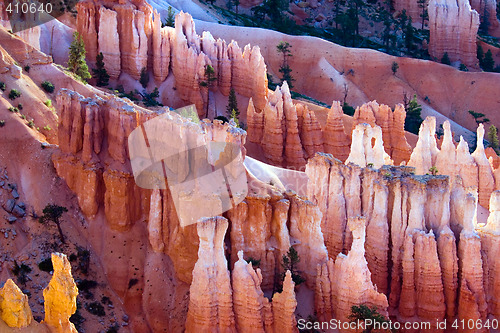 Image of Bryce Canyon National park