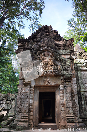 Image of Ta Prohm Temple, Angkor, Cambodia