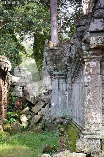 Image of Ta Prohm Temple, Angkor, Cambodia