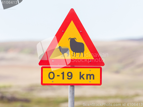 Image of Real Sheep Crossing traffic sign