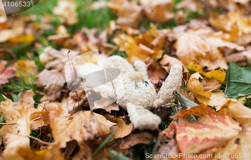 Image of toy rabbit in fallen autumn leaves