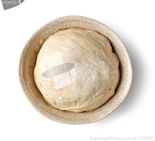 Image of bowl of fresh raw dough
