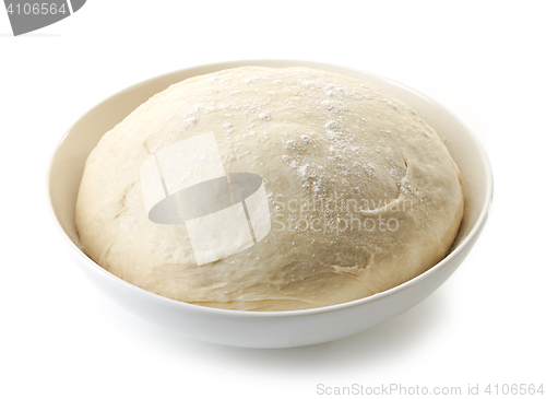 Image of bowl of fresh raw dough